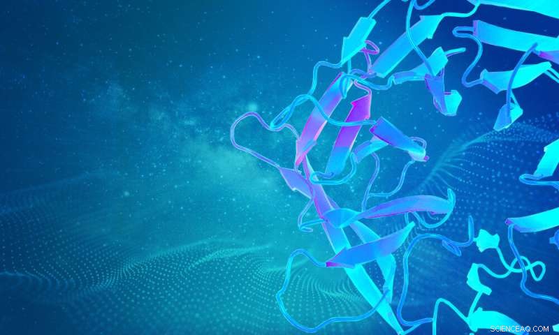 AlphaFold Releases 3D Structures of Almost All Known Proteins for Open Research