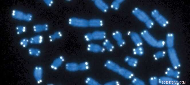 Exploring Cellular Diversity: Single‑Cell RNA Sequencing Maps the Human Body