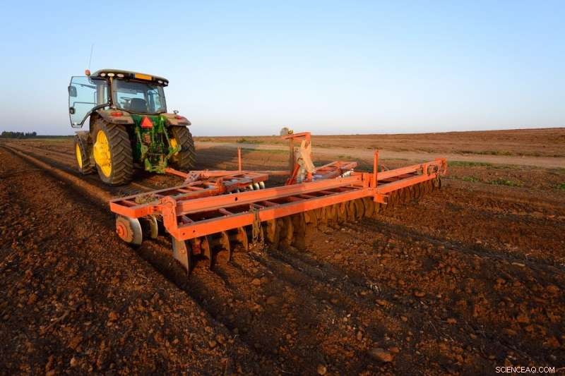 Australia’s Soil Crisis: Immediate Restoration Needed to Protect Ecosystems