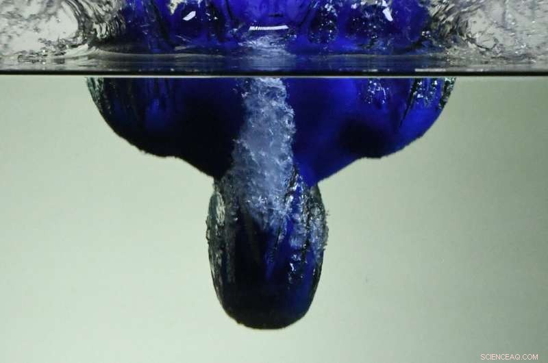 New Study Offers Data‑Driven Safety Guidelines for Divers