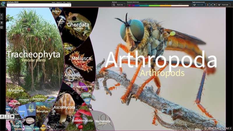 LifeGate: Interactive Digital Atlas Unveils 2.6 Million Species of Earth