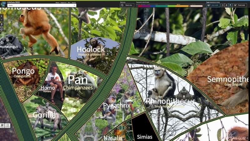 LifeGate: Interactive Digital Atlas Unveils 2.6 Million Species of Earth