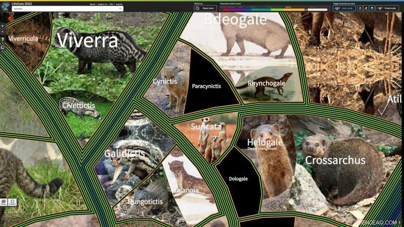 LifeGate: Interactive Digital Atlas Unveils 2.6 Million Species of Earth