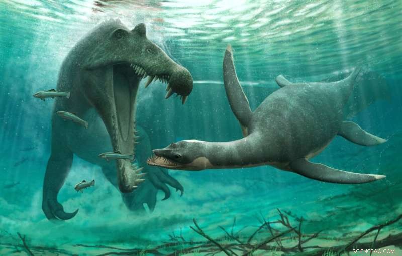 Sahara Plesiosaur Fossils Reveal Freshwater Habitats, Challenging Marine-Only Assumptions