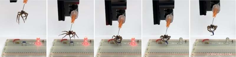 Dead Spiders Become Air-Powered Grippers in Nature-Inspired Engineering