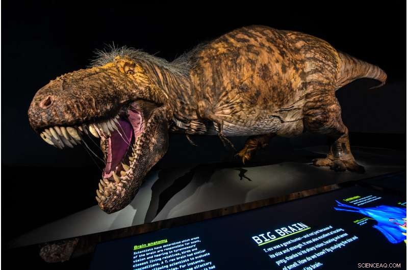 New Research Disproves Earlier Theory of Three Distinct T. rex Species