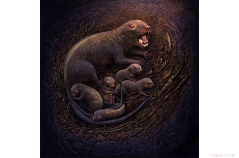 Groundbreaking Study Reexamines Primitive Traits in Mammalian Reproduction