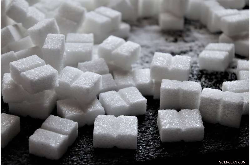 Cutting Sugar Intake: A Strategic Path to Climate Action and Sustainable Health