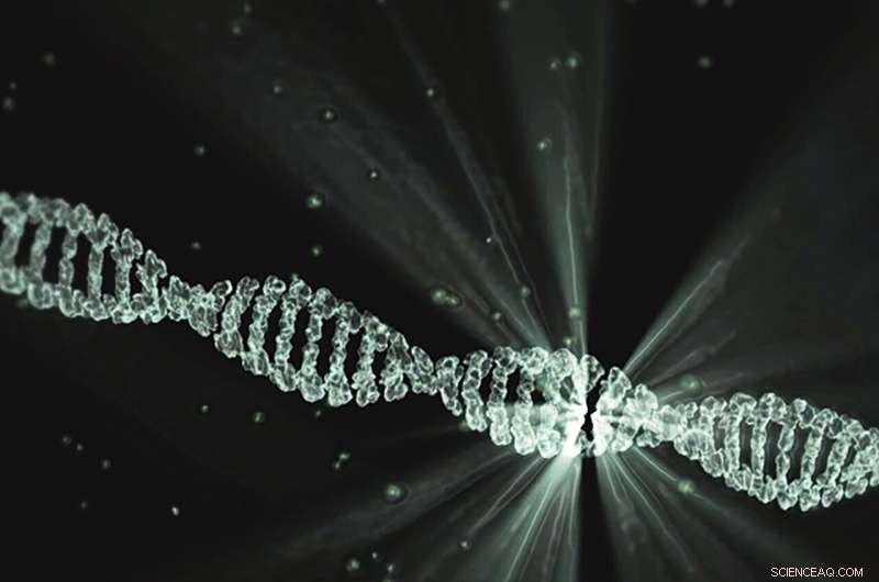 Extensive DNA Recombination Shapes Human Development and Disease