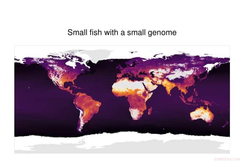 Understanding Oxygen Stress in Fish: Causes, Effects, and Prevention