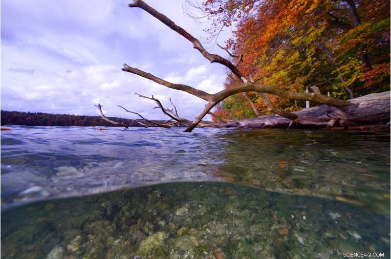 Bacterial Signatures Reveal How Urbanization Shapes City Water Systems