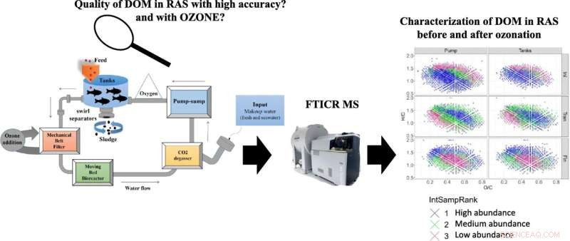 Ozone Treatment Improves Fish Health: Insights from Mass Spectrometry