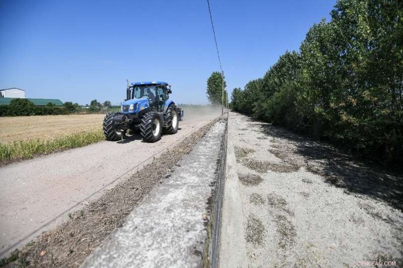 Po Valley Rice Fields Devastated by Italy s Worst Drought in 70 Years