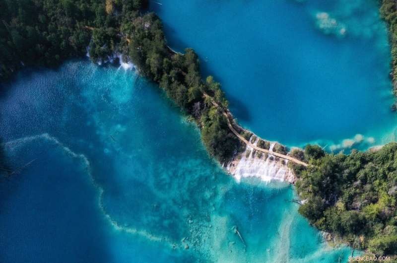 New Pit Viper Species Discovered in Jiuzhaigou National Nature Reserve, China