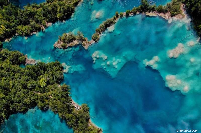 New Pit Viper Species Discovered in Jiuzhaigou National Nature Reserve, China