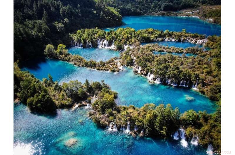 New Pit Viper Species Discovered in Jiuzhaigou National Nature Reserve, China