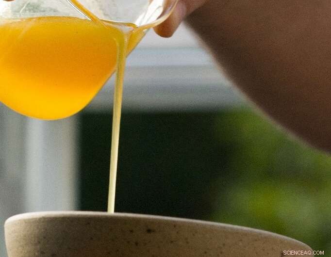 Brazil Investigates the Potential of Indigenous Stingless Bees