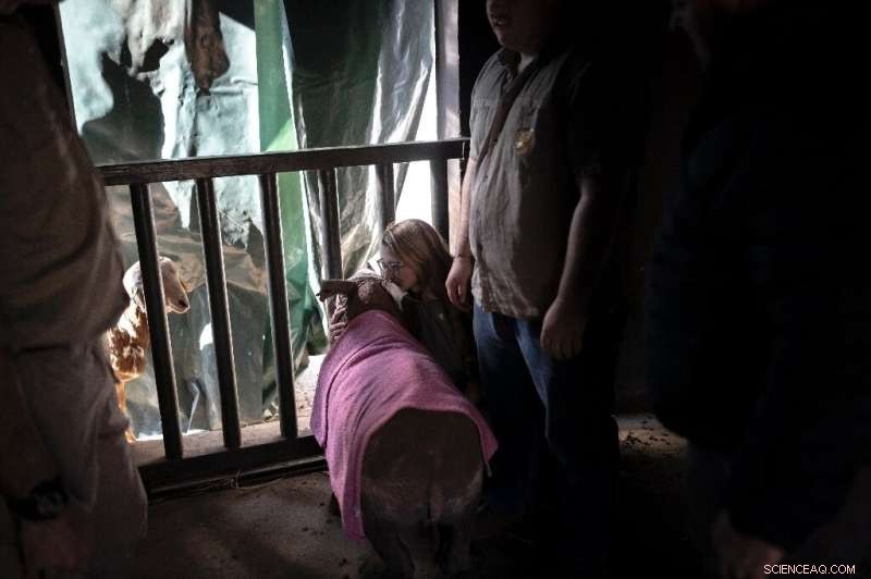 New South African Sanctuary Welcomes Over 30 Rhino Orphans