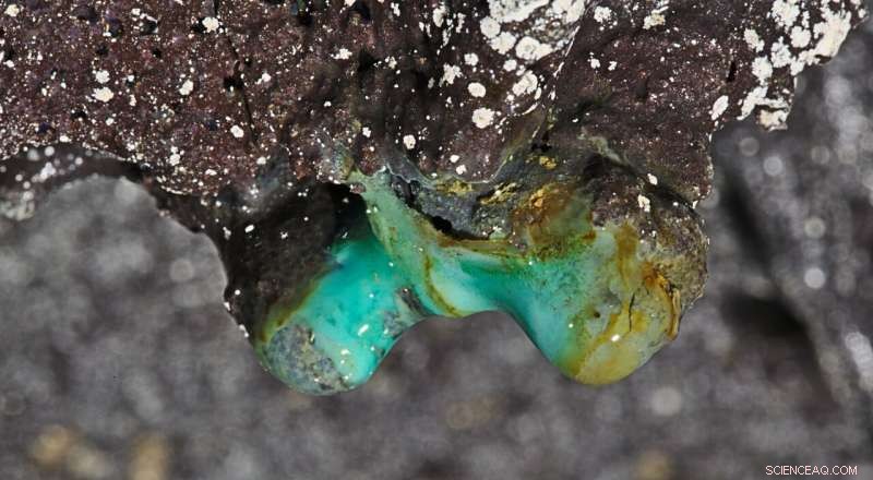 Hidden Microbial Life: Hawaiʻi s Ancient Lava Caves Harbor Thousands of Undiscovered Bacteria