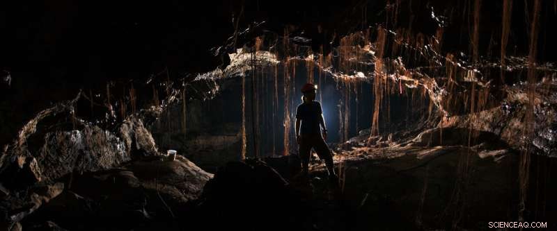 Hidden Microbial Life: Hawaiʻi s Ancient Lava Caves Harbor Thousands of Undiscovered Bacteria