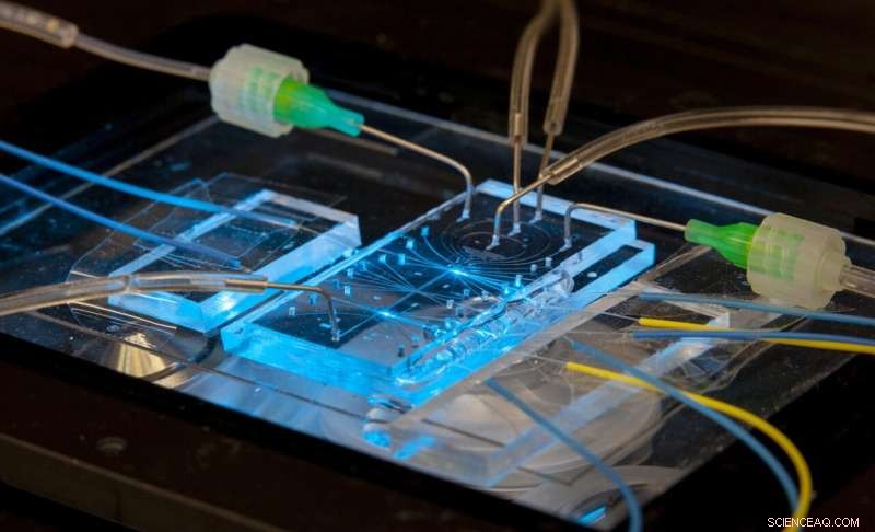 Revolutionary Cytometer Design Enhances Accuracy and Confidence in Cell Measurements