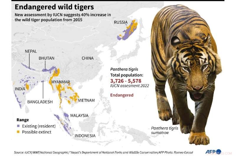 Wild Bengal Tigers Count Up 40% — New Data Reveals 5,578 Individuals