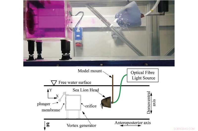 Bioinspired Whisker Arrays Function as Antennas, Detecting Flow Disturbances in Water and Air