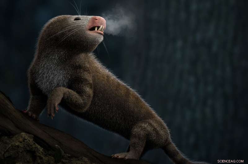 Mammals weren’t the first to evolve endothermy: New research shows earlier warm‑blooded species
