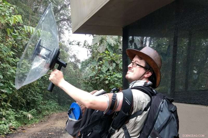 Scaly-Breasted Wren Matches Professional Musicians in Natural Timekeeping
