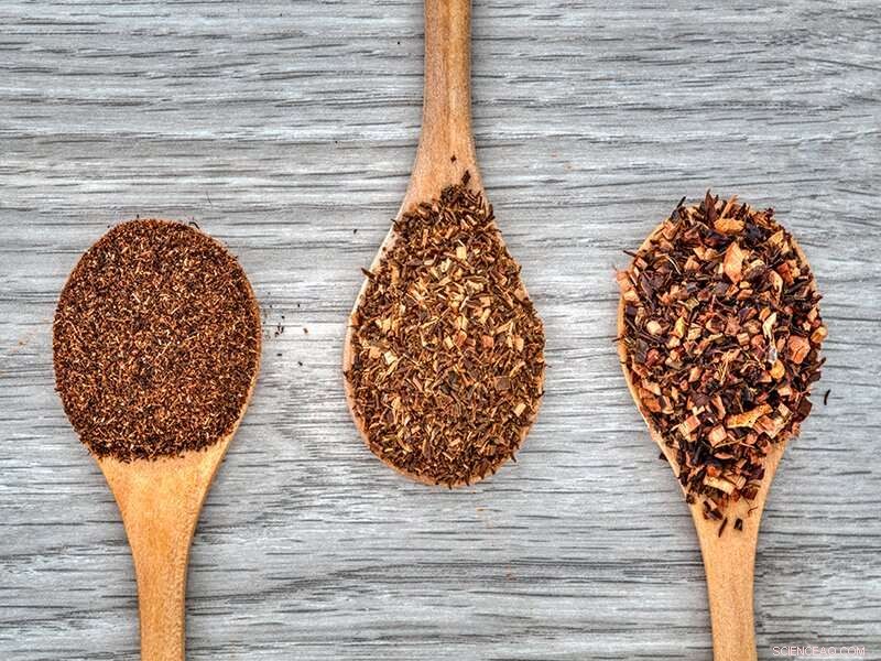 Sustainable Farming: The Key to Premium Honeybush Tea Quality