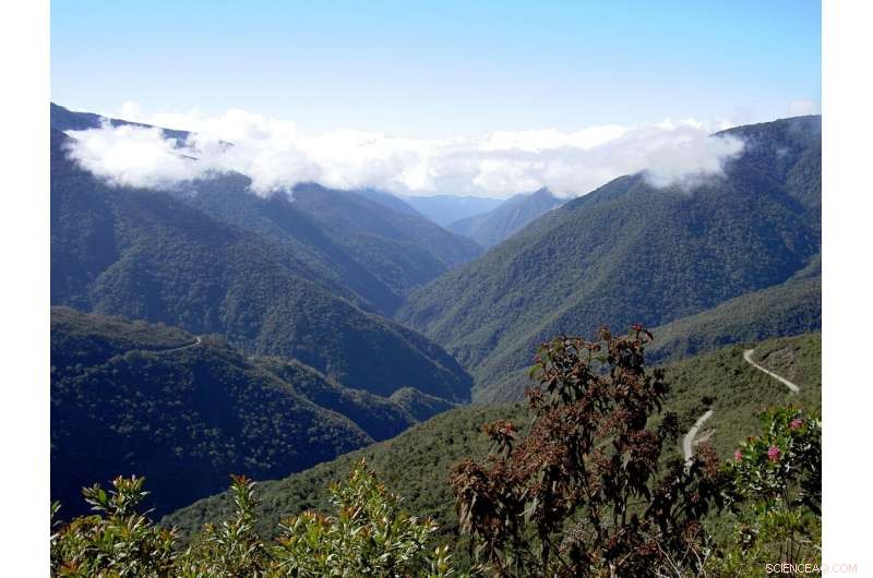 Data-Driven Conservation Priorities for the Tropical Andes Ecosystems