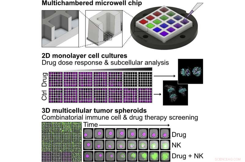 Innovative Microchip Enables High-Resolution Imaging and Advanced Screening