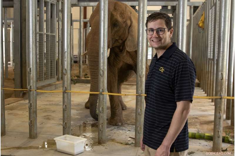 How Elephant Trunk Skin Enhances Versatility: New Georgia Tech Study