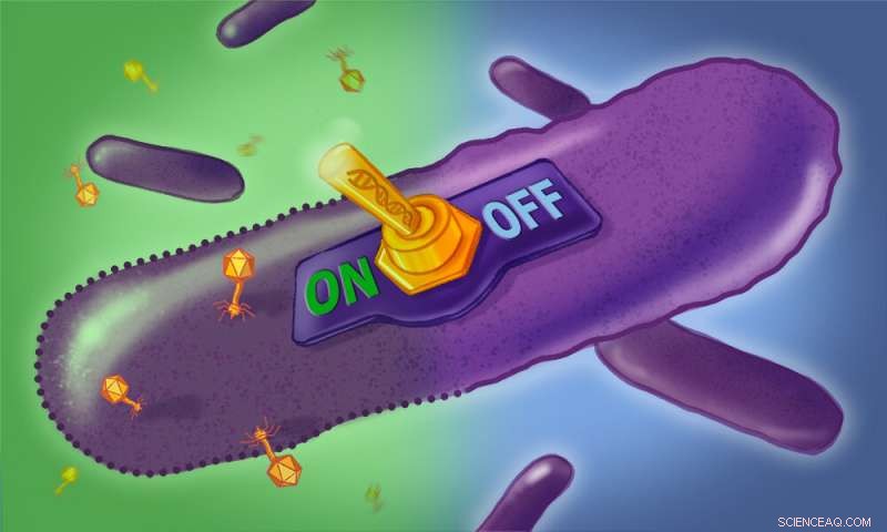 Scientists Uncover Mechanism Activating Retron Toxins to Halt Viral Spread