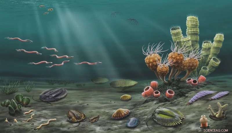 Liexi Fauna Unveils Early Phase of the Great Ordovician Biodiversification Event