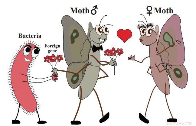 Insects Carry Over 1,400 Microbial Genes That Boost Their Survival