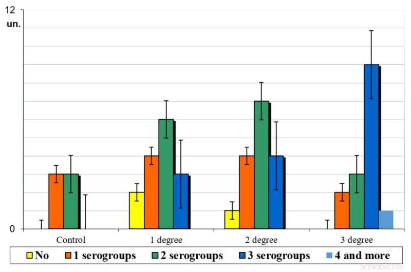 Veterinarians Uncover Key Dysbiosis Patterns in Cats to Enhance Diagnosis and Treatment