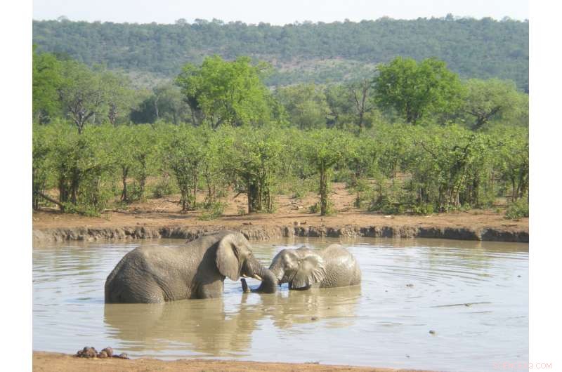 How Climate Change, Population Growth, and Land‑Use Alter Africa’s Protected Areas