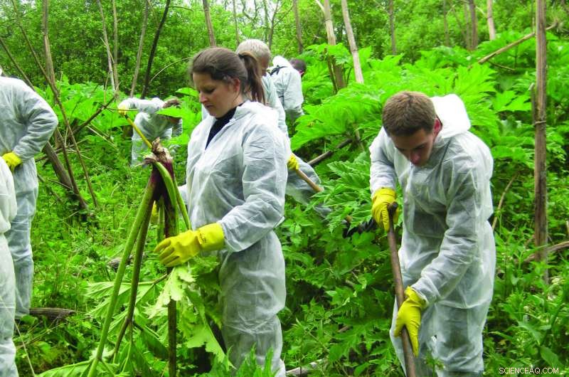 Volunteers Protect Native Biodiversity by Eradicating Invasive Alien Species