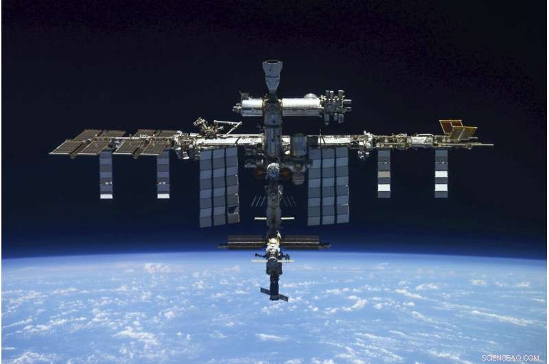 Testing Stem Cell Growth in Microgravity: A Space Experiment