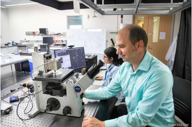 How Mechanical Forces in Protein Folding Reveal Insights into Metastatic Cancer