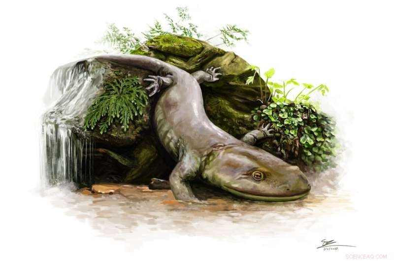 50-Year-Old Ancient Salamander Skeleton Discovered Inside Skye s Mystery Rock – New Study Reveals Its Secrets