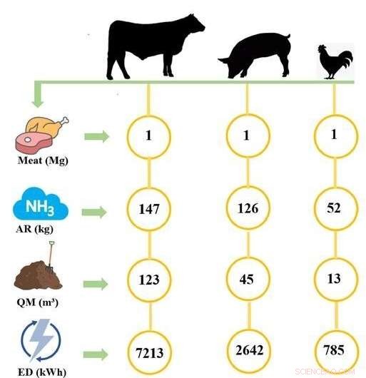 Nitrogen Footprint: Liquid Manure s Impact on Pollution and Resources