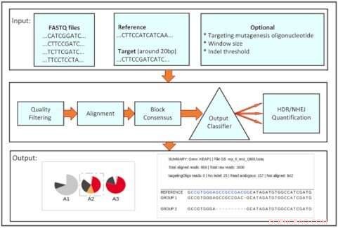 CRISPRnano: A User-Friendly Web Server for Rapid Genome Editing Detection