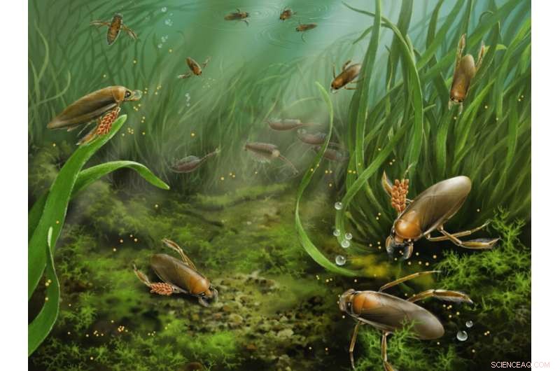 China s Jurassic Insects Reveal First Evidence of Brood Care in Extinct Species