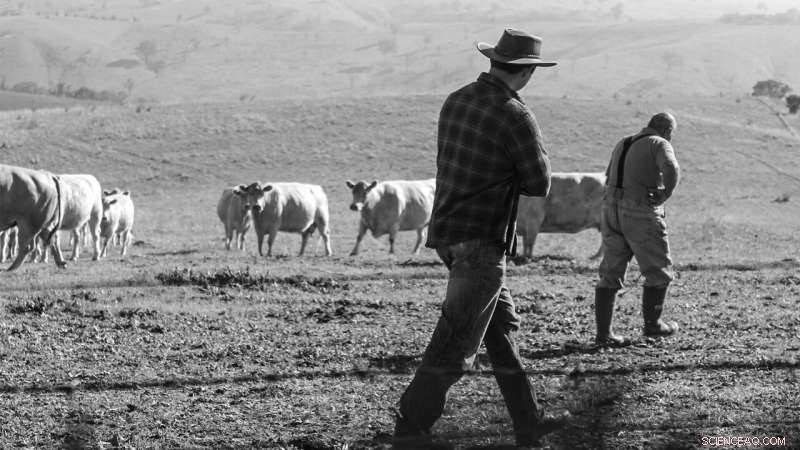 Researchers Urge Individual Farmer Inclusion in Livestock Disease Control