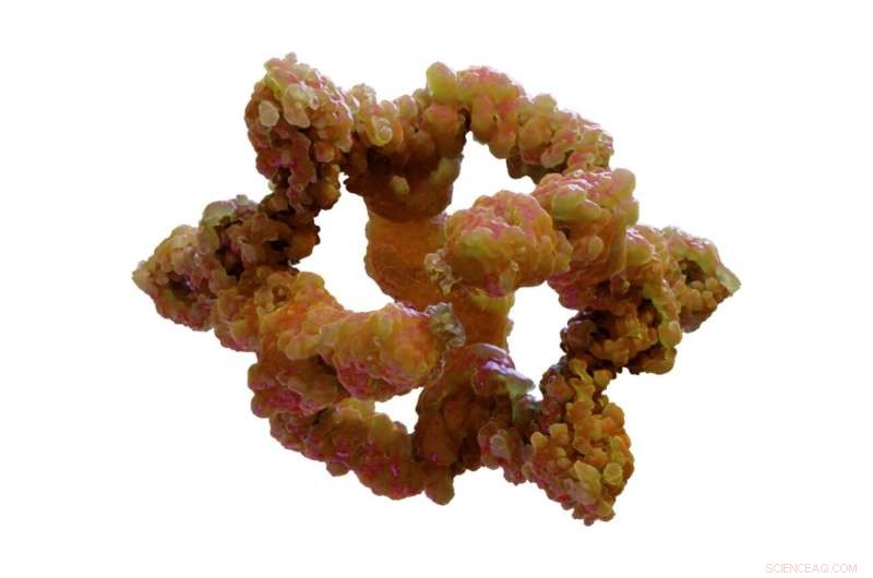 New 3D Structure of GATOR2 Sheds Light on Cell Growth Regulation