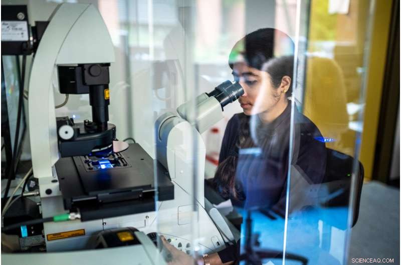 Unlocking the Sixth Sense: How Animals Use Earth’s Magnetic Field to Navigate