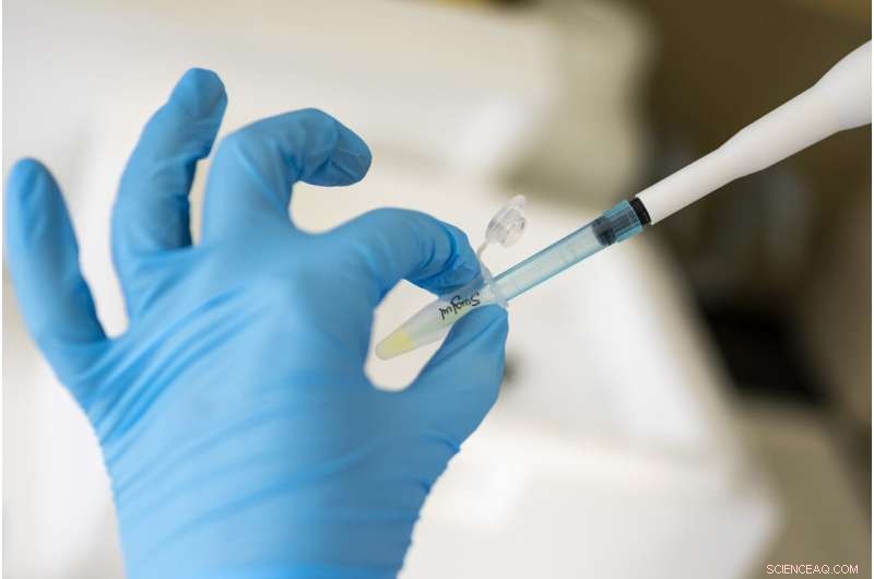 Unlocking the Sixth Sense: How Animals Use Earth’s Magnetic Field to Navigate