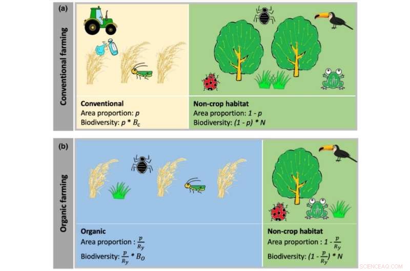 Is Organic Farming Truly Environmentally Friendly? Researchers Propose Decision-Making Strategy